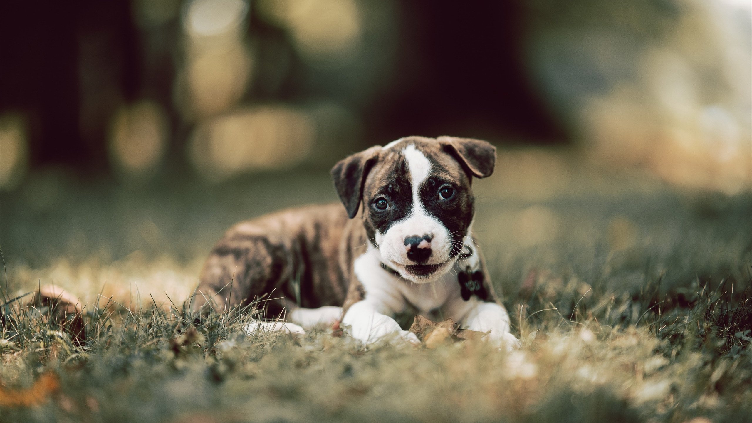 _热火铁血防守，击退联盟劲敌_，热血铁军