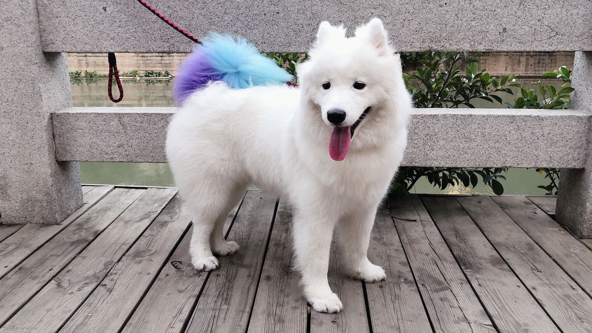 开云体育-“NBA最奇葩的玩笑时刻，球员爆笑全场”，nba最搞笑