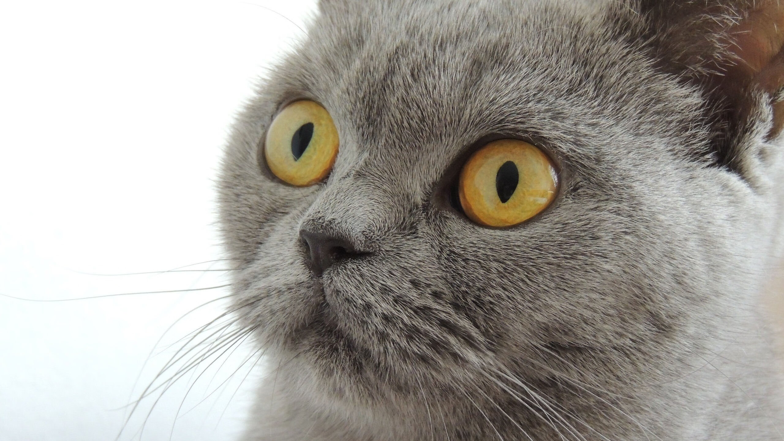 kaiyun官方入口登录-《从业者必看：电竞行业未来五年的发展蓝图》，电竞行业发展趋势