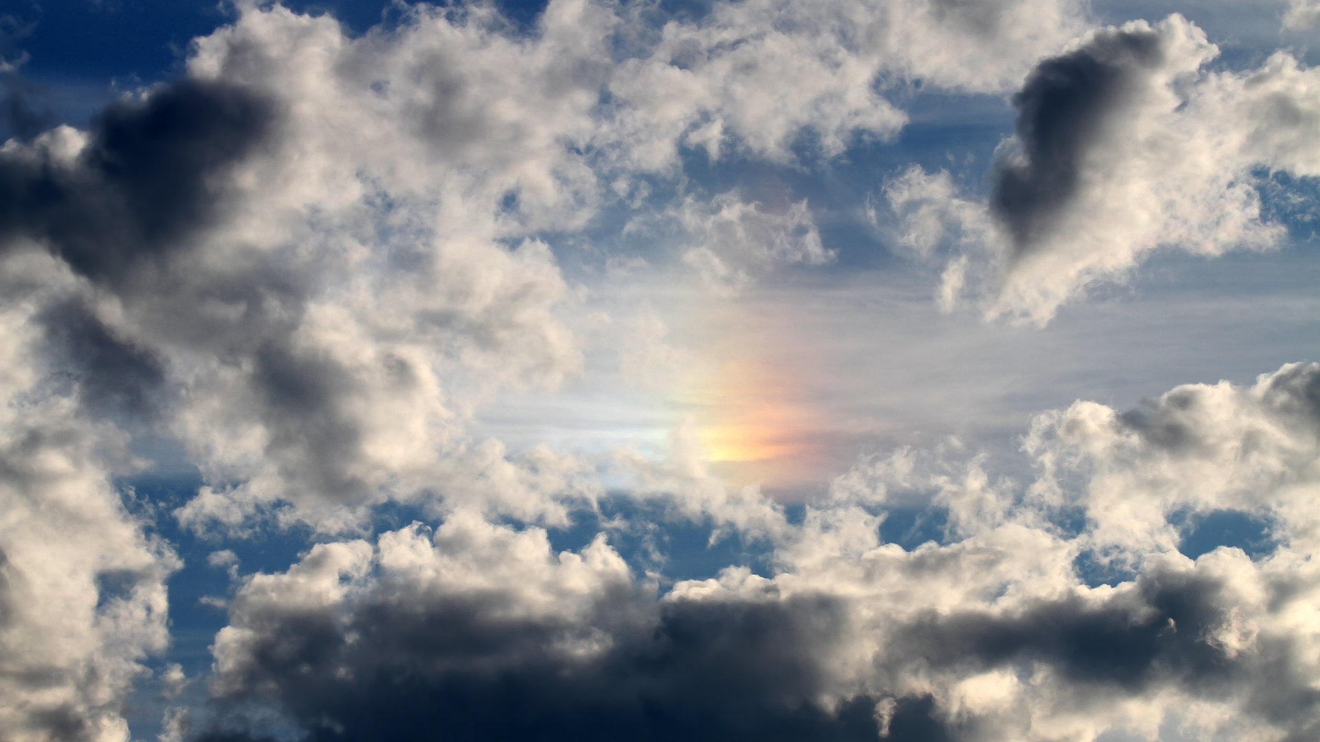 开云官网APP下载-从零到英雄：那些在欧冠中崛起的平凡球员，欧冠出名球员