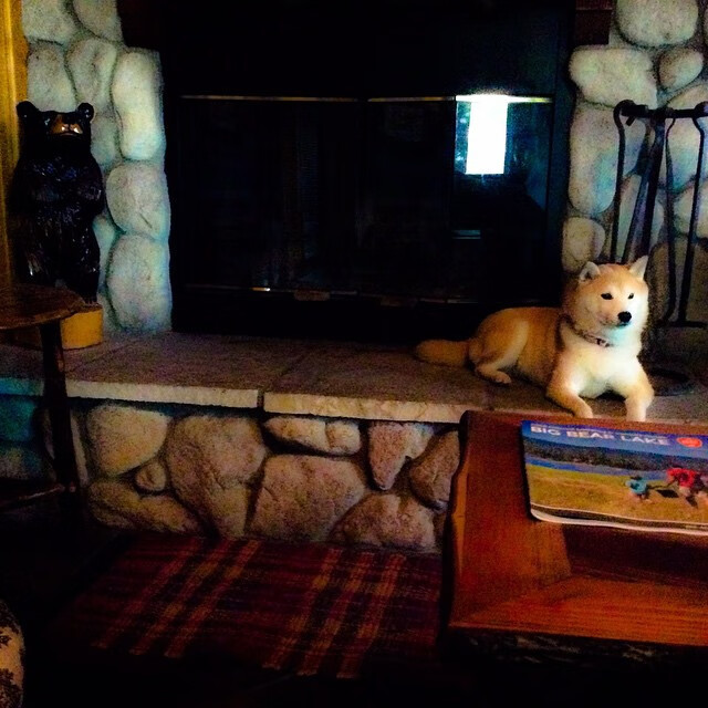 伊朗队雪地滑跪庆祝进球，冻掉了膝盖套，伊朗滑雪胜地