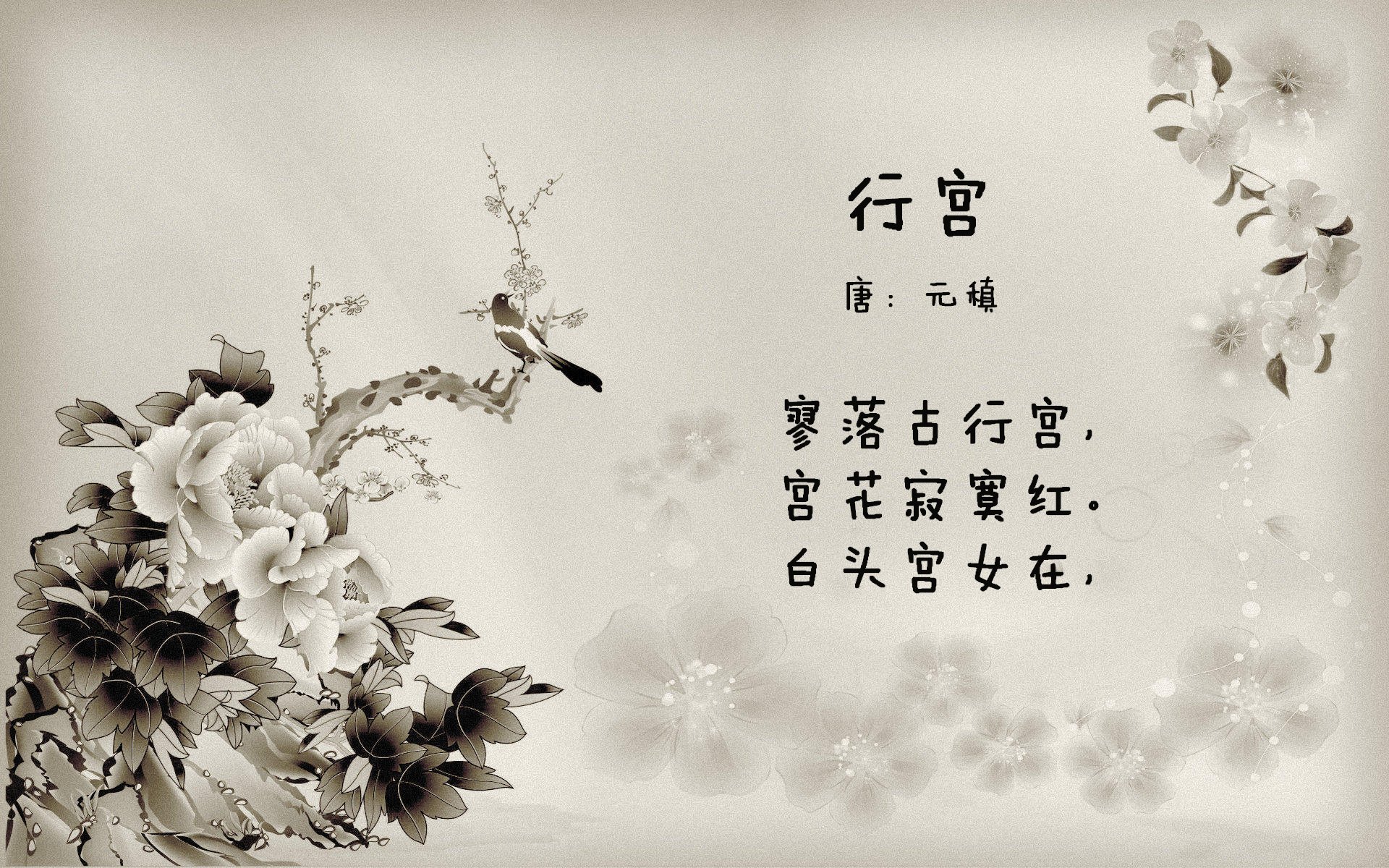 布鲁诺·卡博克洛成为NBA新一代领军人物,nba布鲁诺卡波洛克