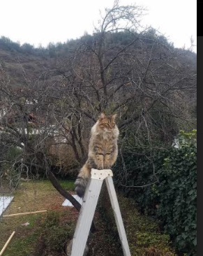 开云·Kaiyun网页版-沙滩排球：阳光与沙滩上的较量，沙滩排球的赛制