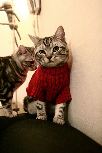 开云中国-球场“铁壁防线”揭秘：最难攻破的欧洲后防