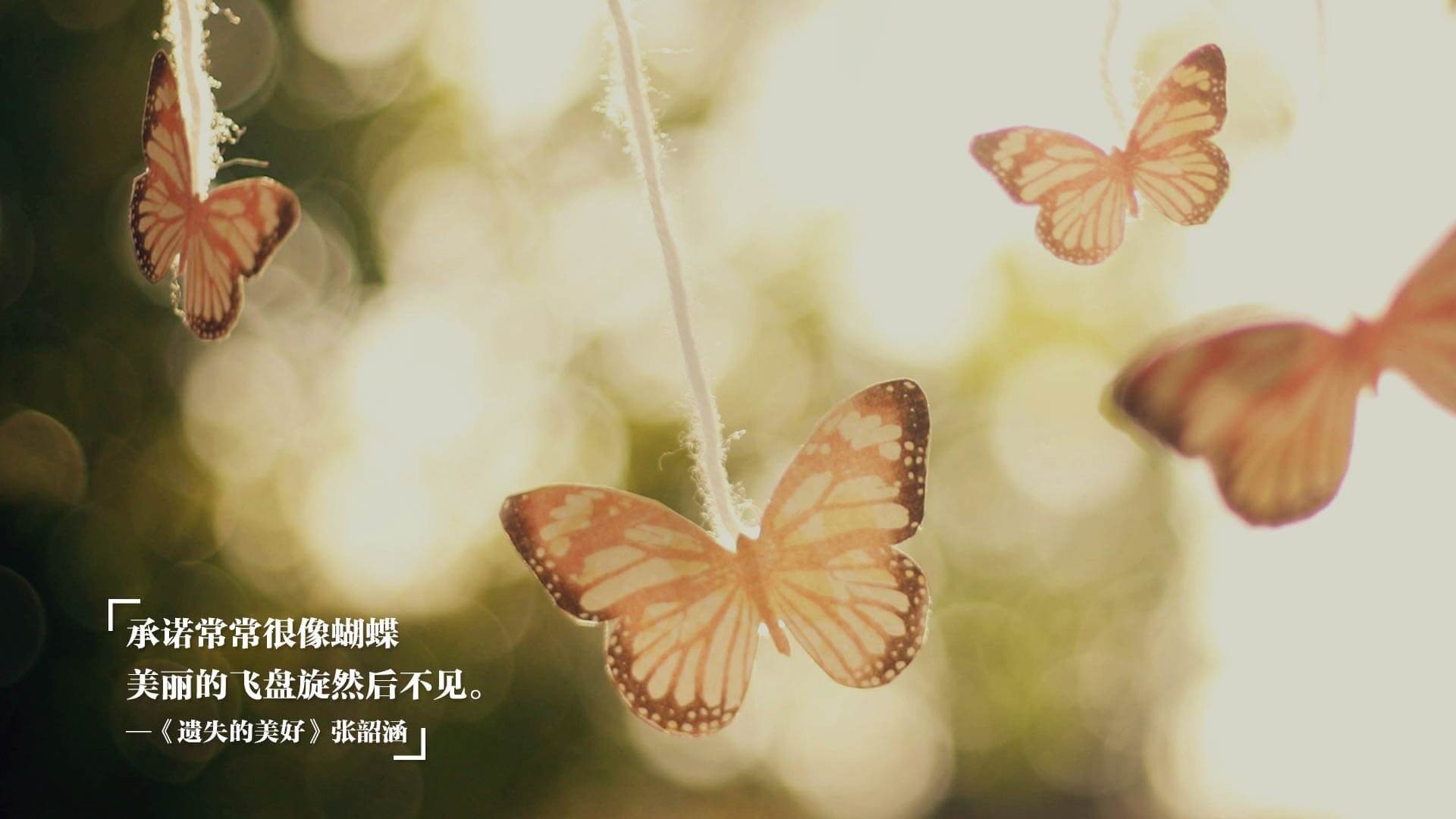 乌迪内斯后卫出色抢断反击，帮助球队取胜，乌迪内斯最新阵容