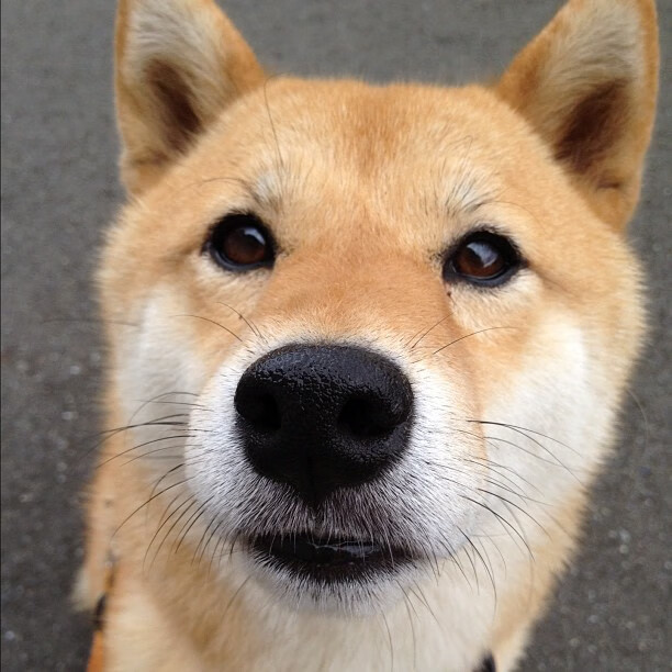 卡昂队在最新比赛中击败对手，取得宝贵分，卡昂对阵第戎