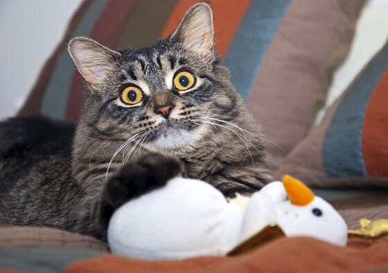 开云官方-拜仁慕尼黑主场3-0战胜勒沃库森，进攻火力全开，拜仁慕尼黑2021