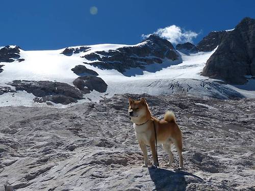 梅西率队轻松取胜，巴萨升至积分榜第三，梅西巴萨比赛赛季