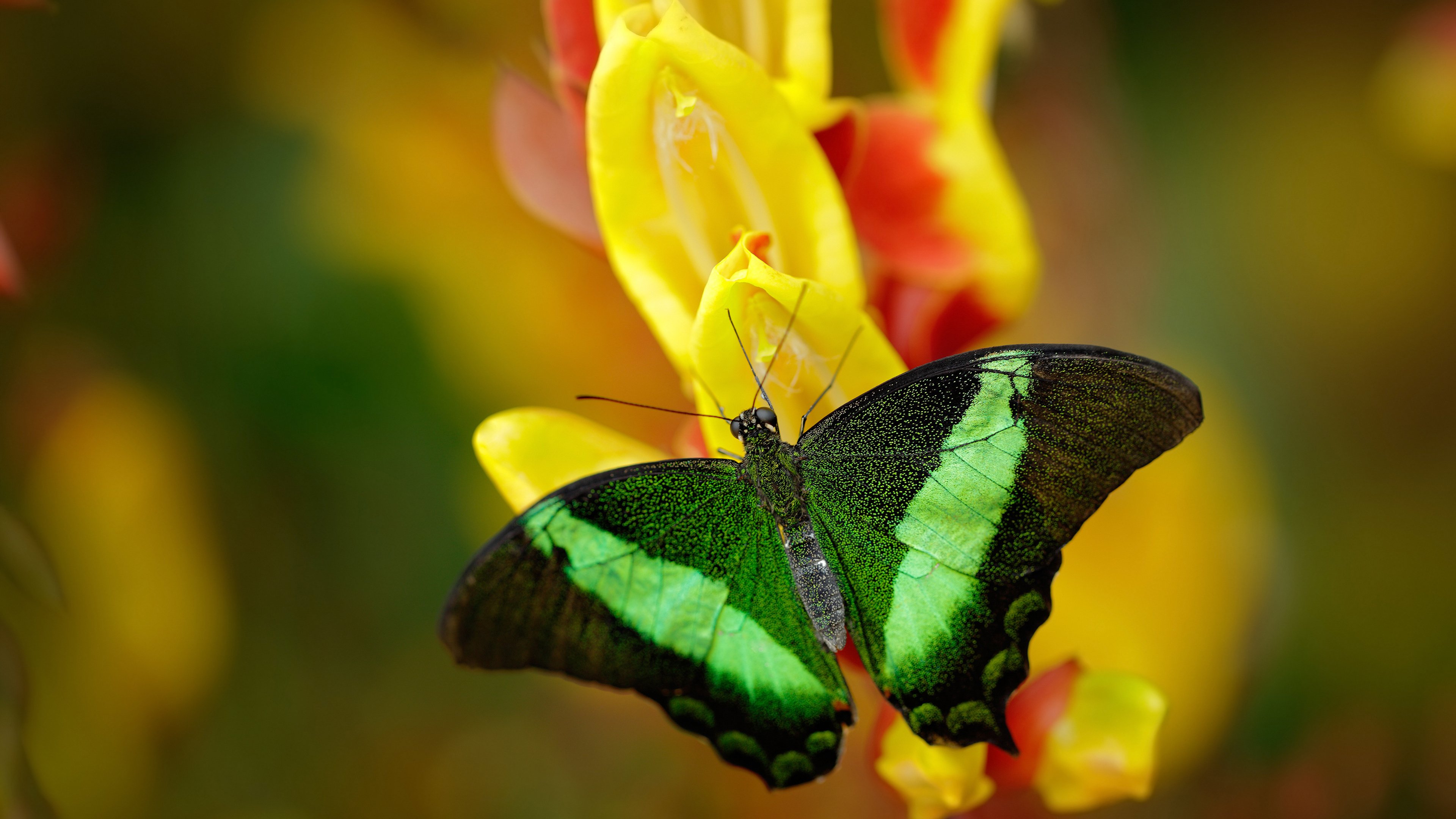 开云·体育官网-法国队大胜一仗，继续领跑积分榜，法国队2021战绩