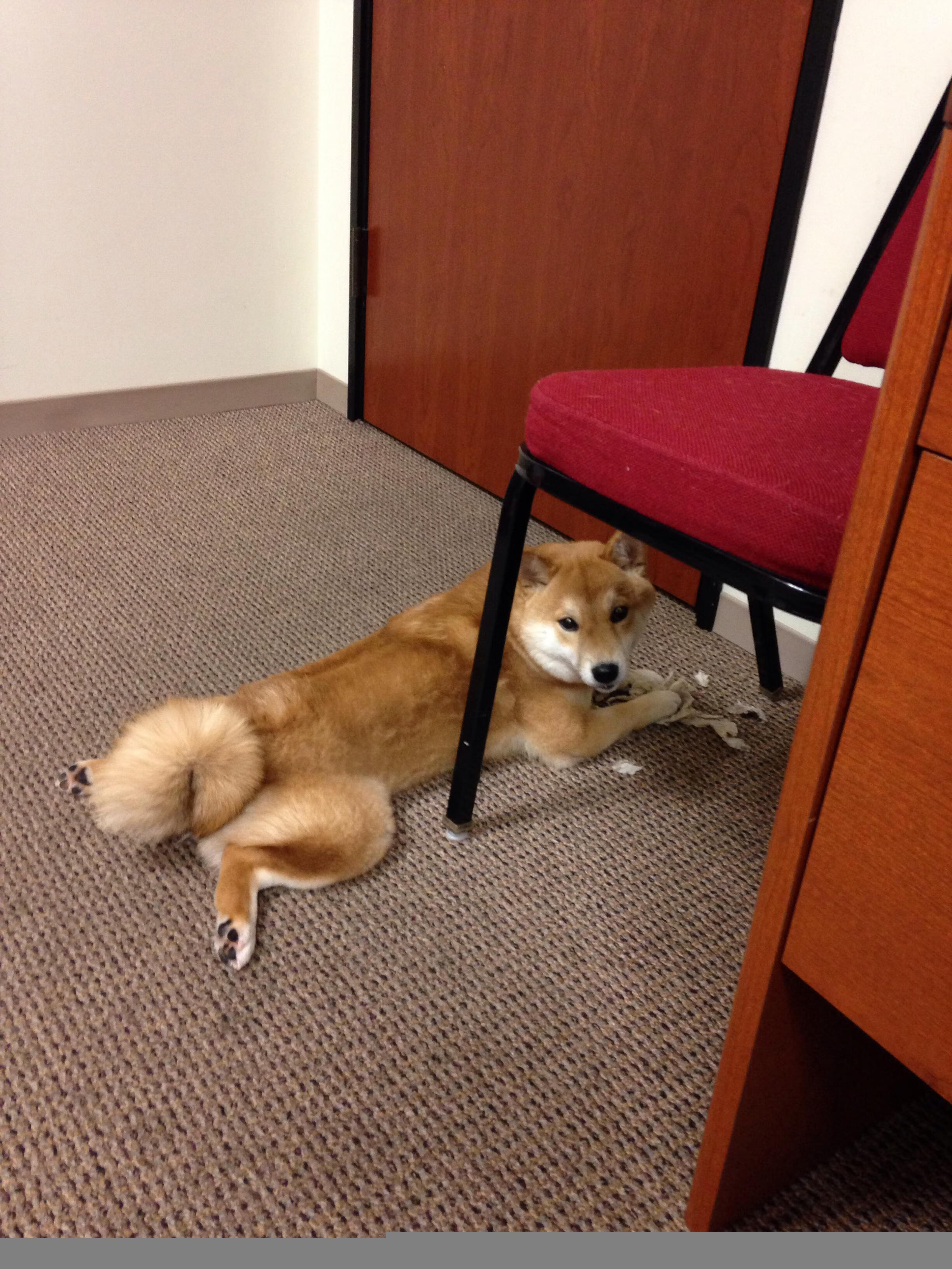 开云·体育官网APP下载-波尔多客场击败尼姆队，取得连胜，波尔多对尼奥尔