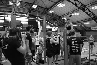 KAIYUNAPP-“2025世界游泳锦标赛：水上芭蕾精彩纷呈，艺术之美与竞技并行”