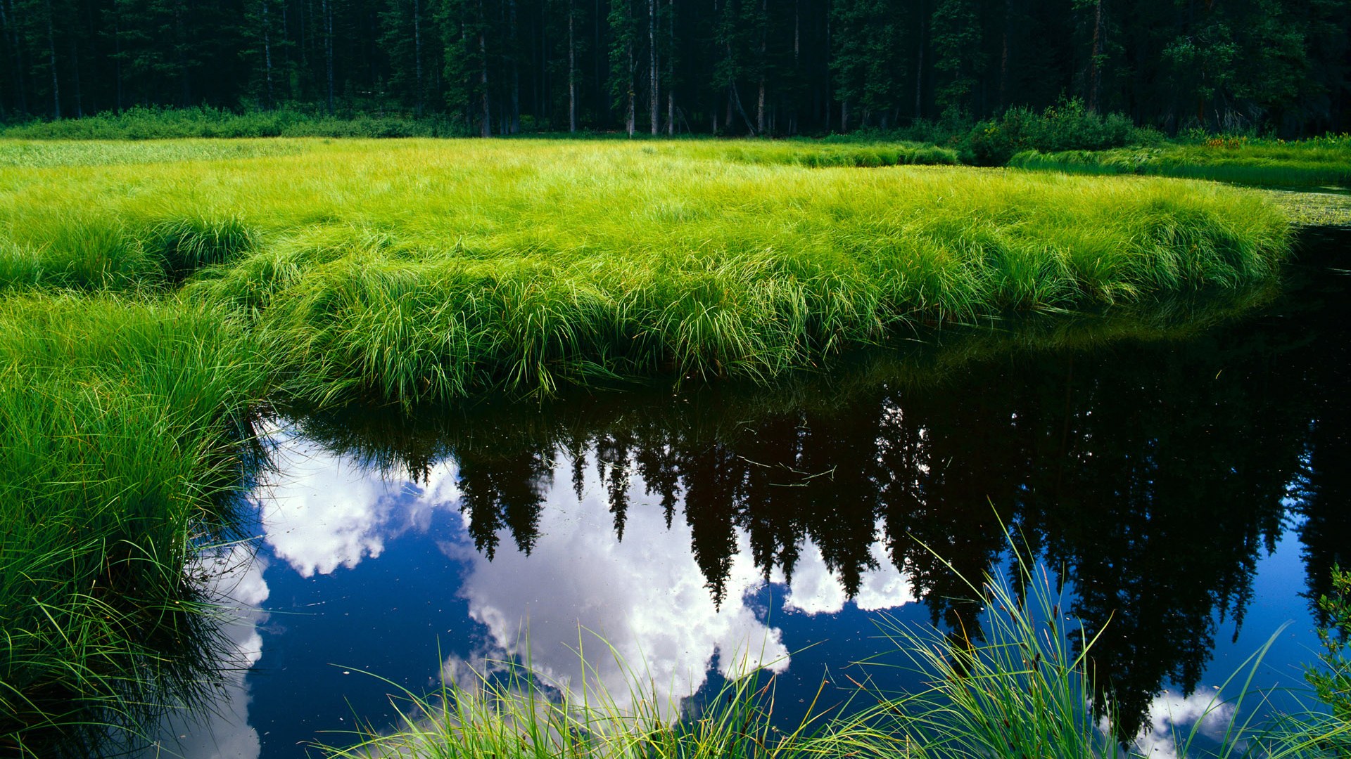 开云官网APP下载-Yıldız传射建功，再创小组赛高光表现