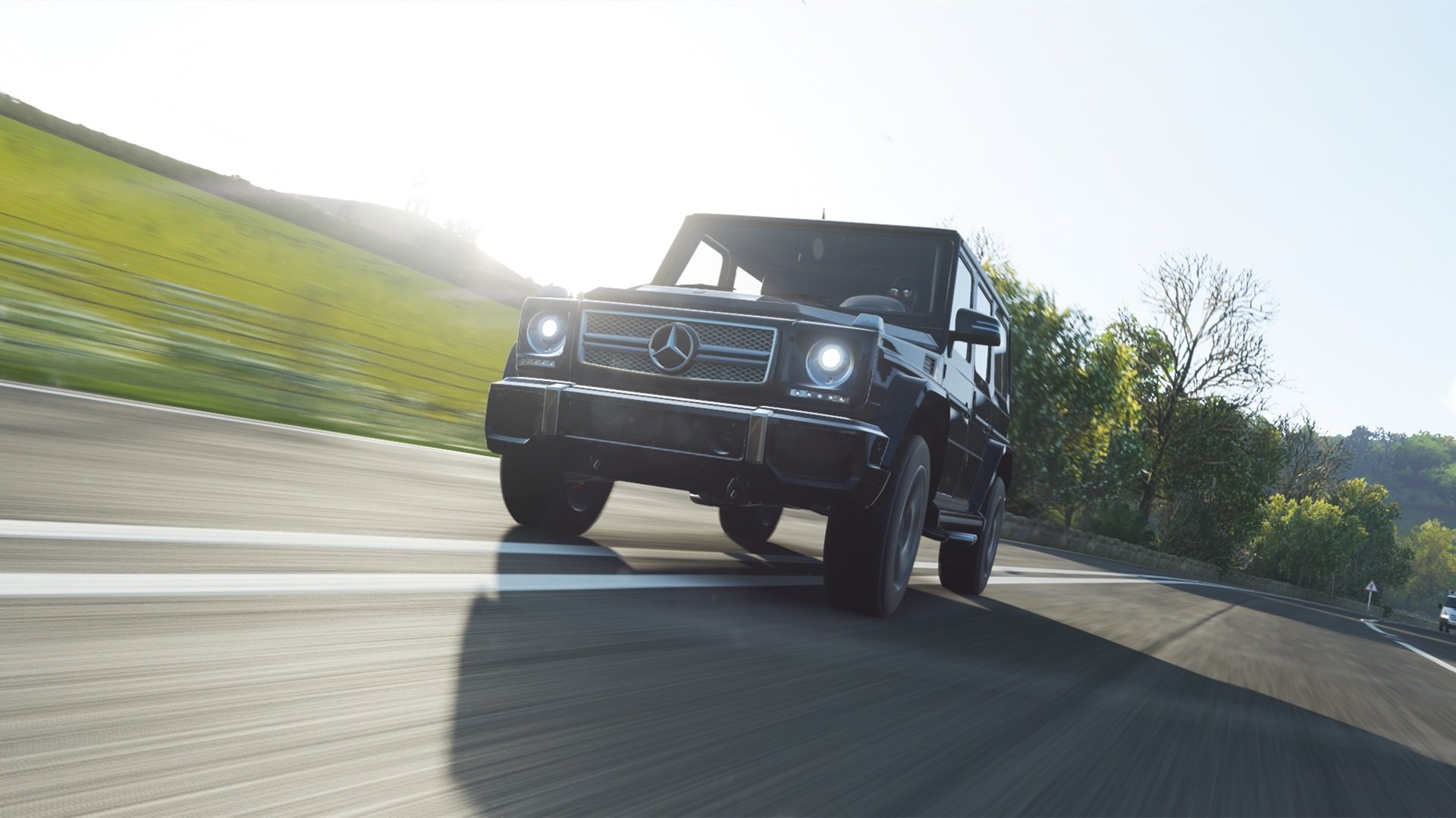 “2025世界游泳锦标赛：顶尖游泳选手争夺金牌荣耀”