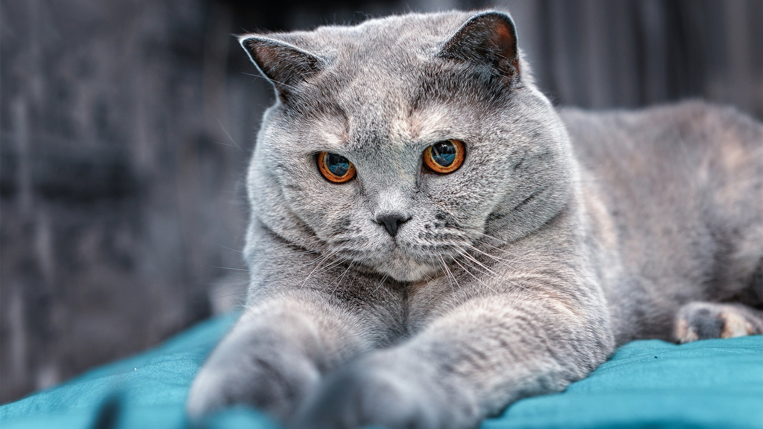 全民健身活动参与度提升，全民健身活动普及