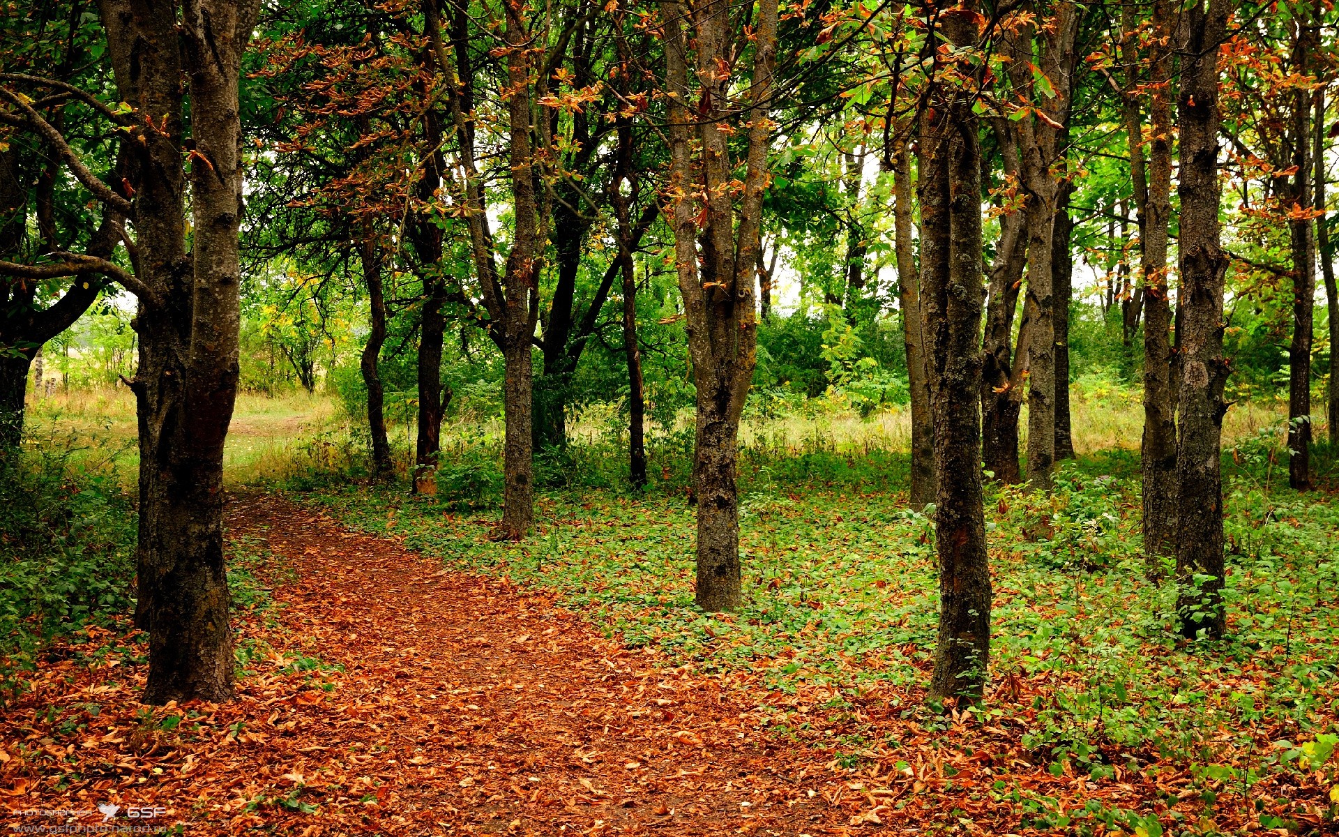 开云·体育官网-丁俊晖助阵斯诺克公益推广日，丁俊晖做斯诺克反败为胜视频