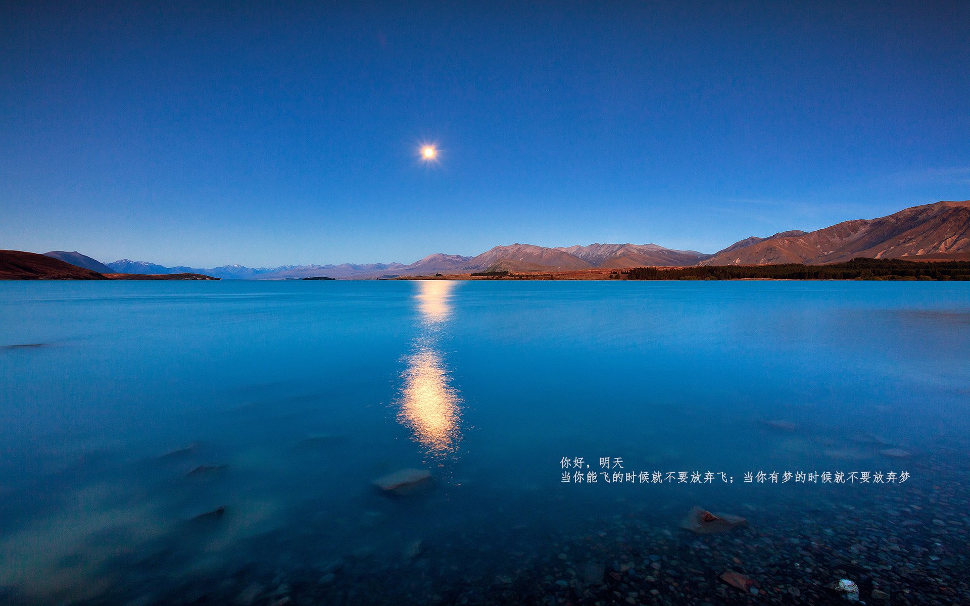 世界杯经典瞬间：动容，永不褪色的记忆，世界杯超燃视频