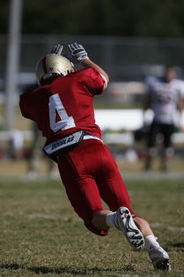 kaiyun中国官方网站-足球青训进入社区模式拓展非专业球员参与渠道，足球俱乐部青训什么条件