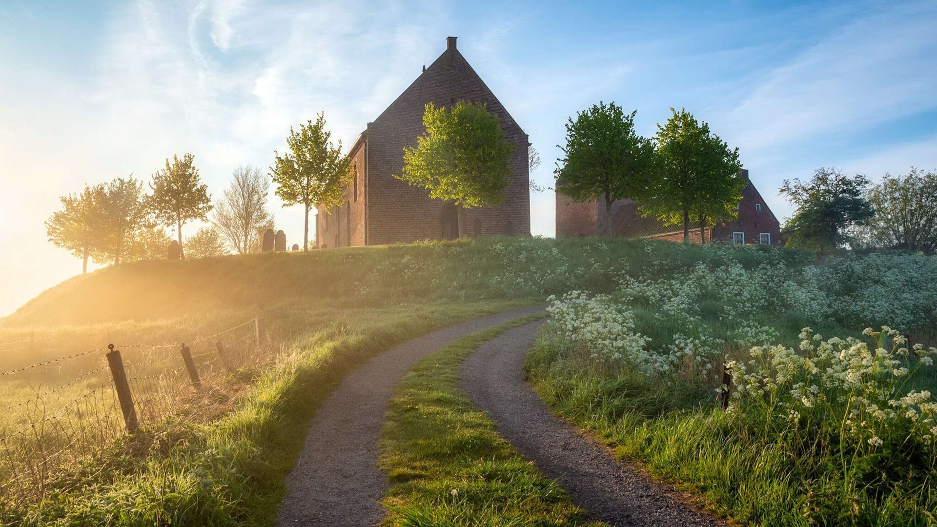 青年世界杯预赛中,加拿大队表现抢眼,期待决赛圈精彩表现,世界杯青年锦标赛